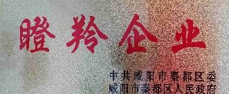 中科啟航擬認(rèn)定為2021年咸陽(yáng)市瞪羚企業(yè)